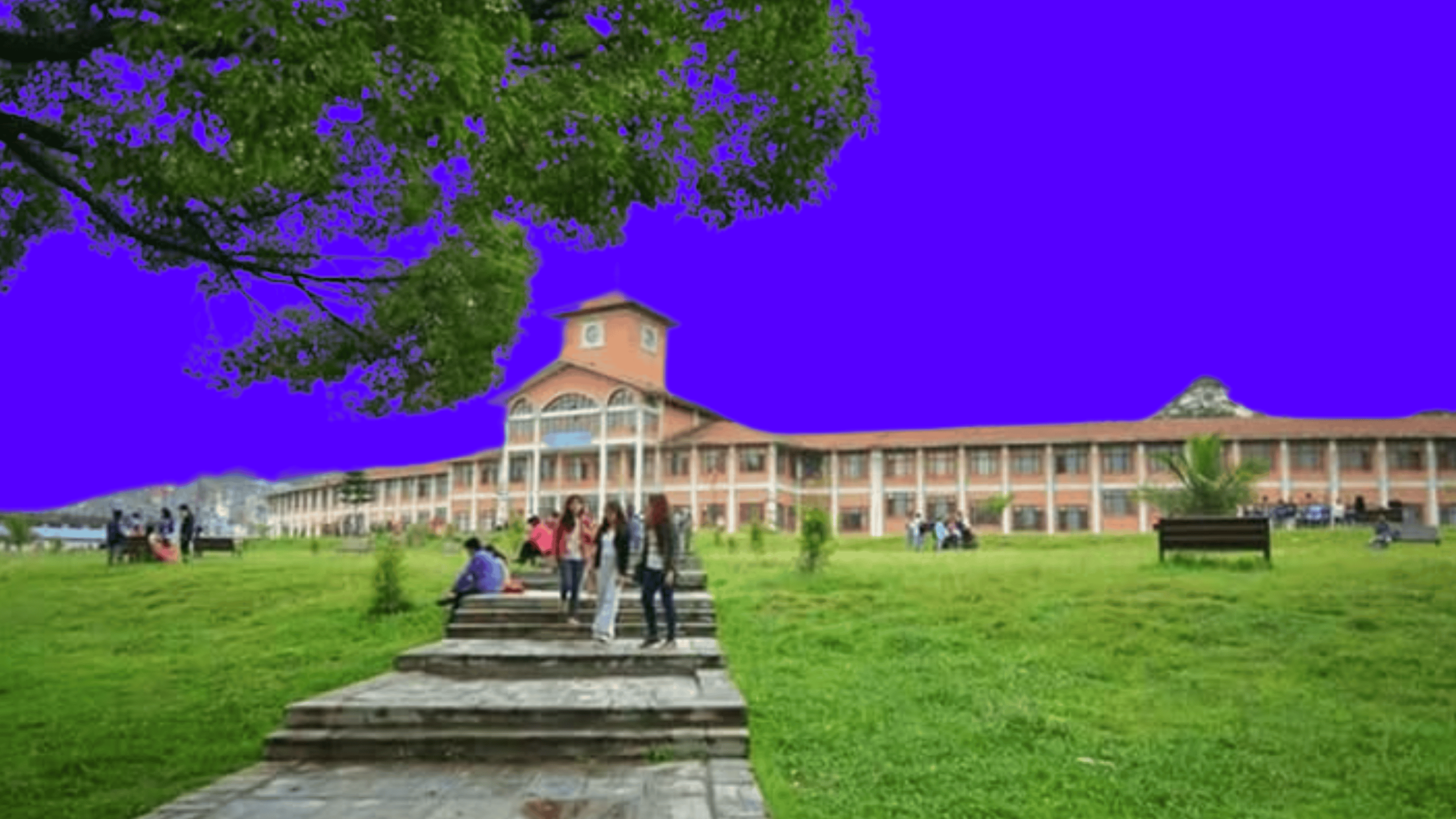 Tribhuvan University: The Beating Heart of Nepal’s Future – A Complete Guide for 2026